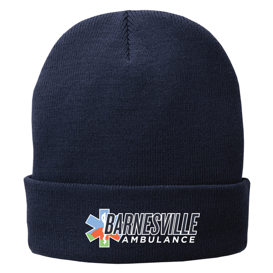 BA Port & Company Fleece-Lined Knit Cap (CP90L)